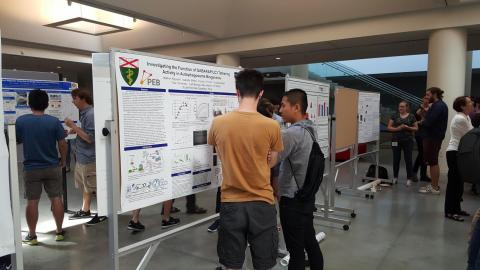 Cell Biology/PEB student presenting a poster on his research on autophagosome biogenesis at the 2016 iPoLS meeting..