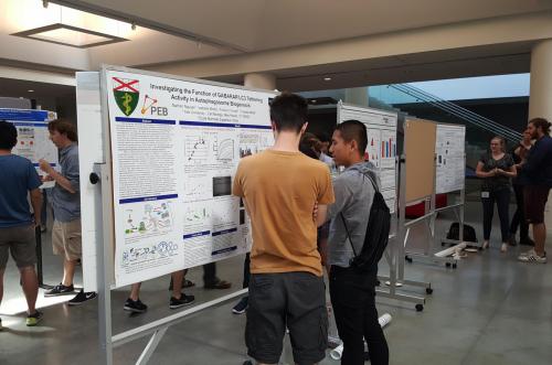 Cell Biology/PEB student presenting a poster on his research on autophagosome biogenesis at the 2016 iPoLS meeting..