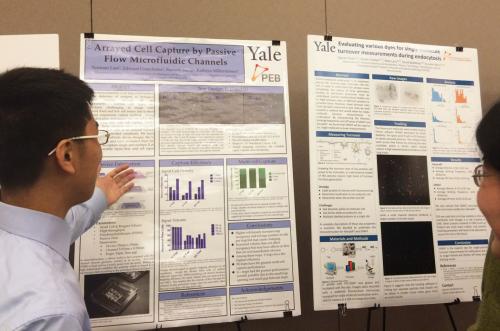 2015 meeting: First-year physics student presenting a poster on the Integrated Workshop module conduced in the Miller-Jensen lab.